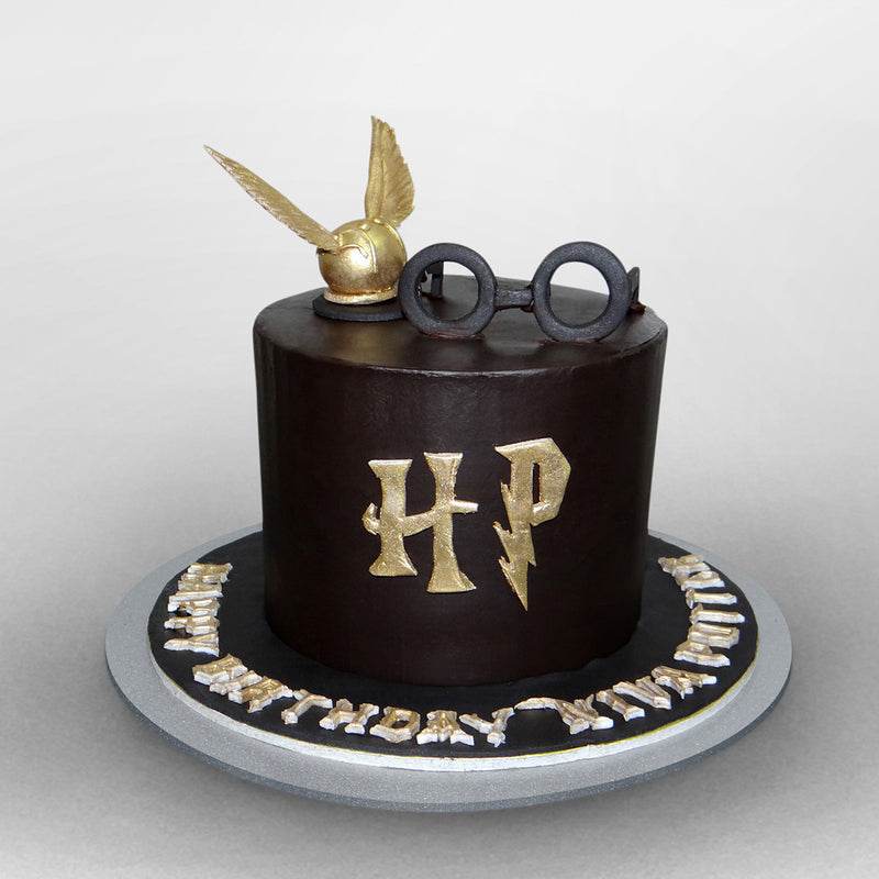 Harry Potter Cake Ideas