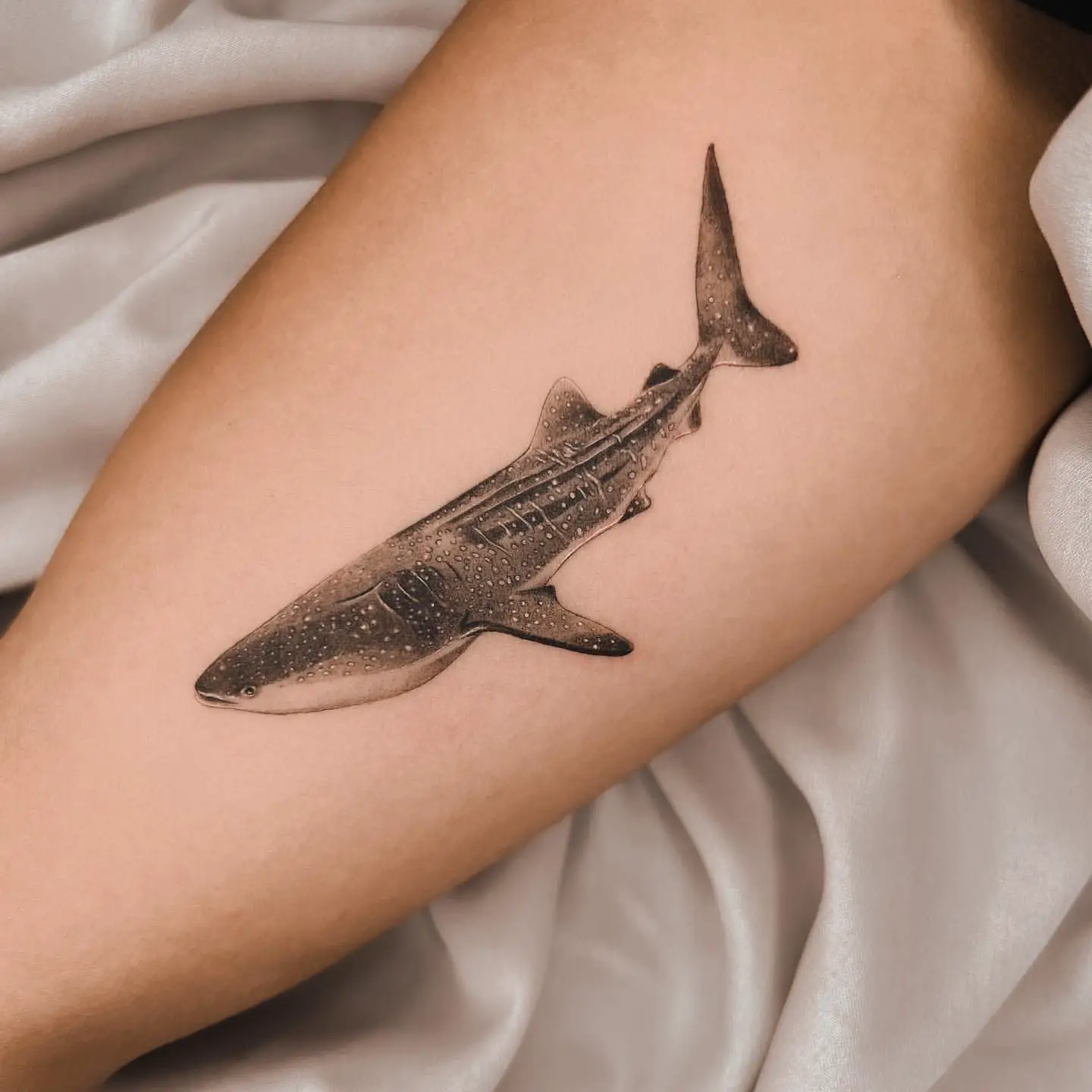 Shark Tattoo Ideas