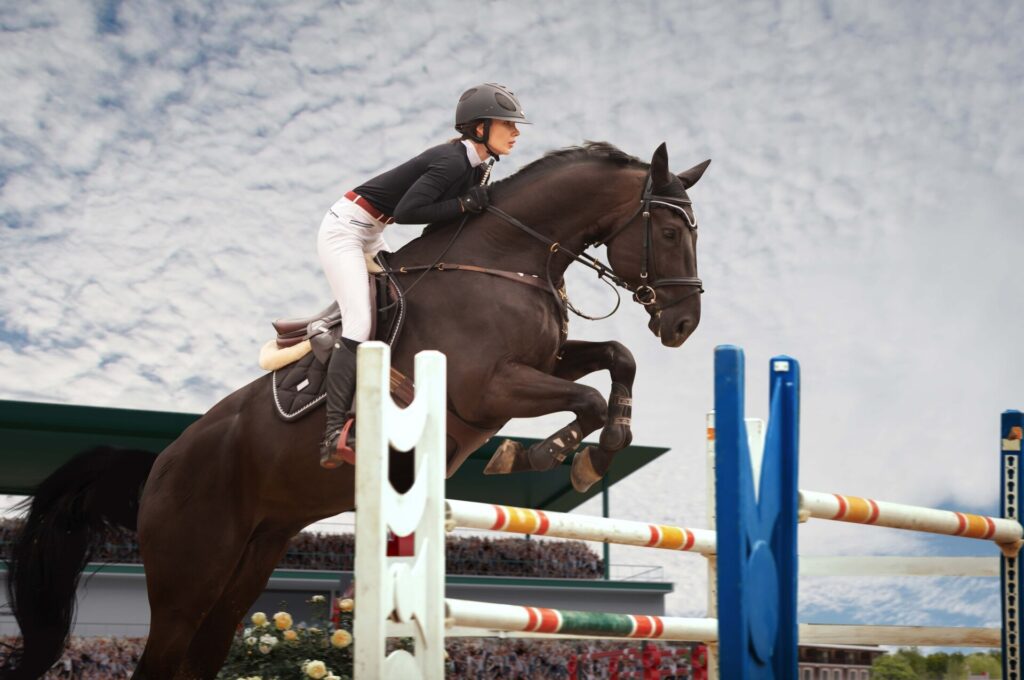 Trick Riding Saddle